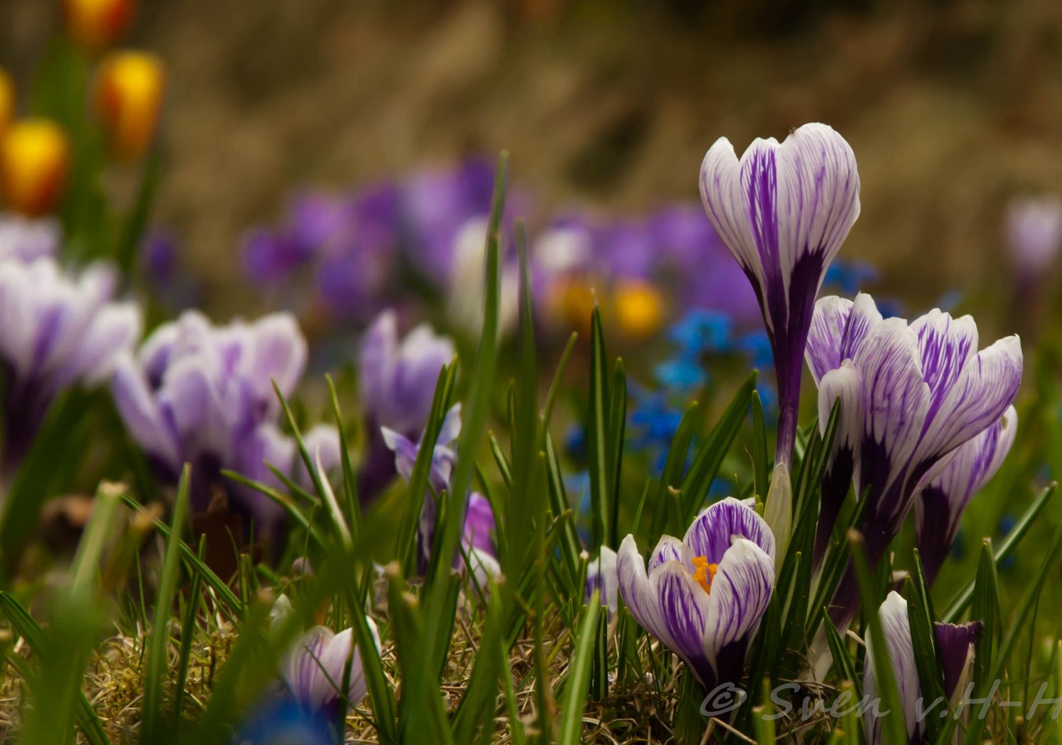 Der Frühling ist da