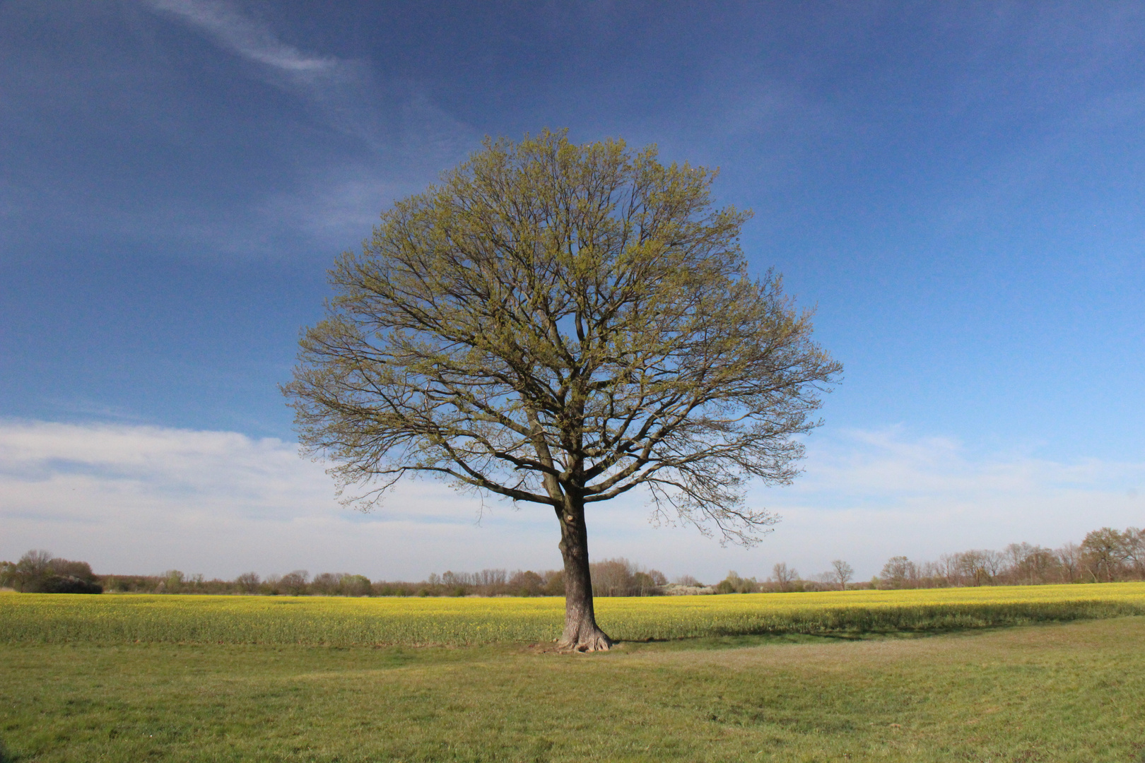 Der Frühling ist da