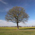 Der Frühling ist da