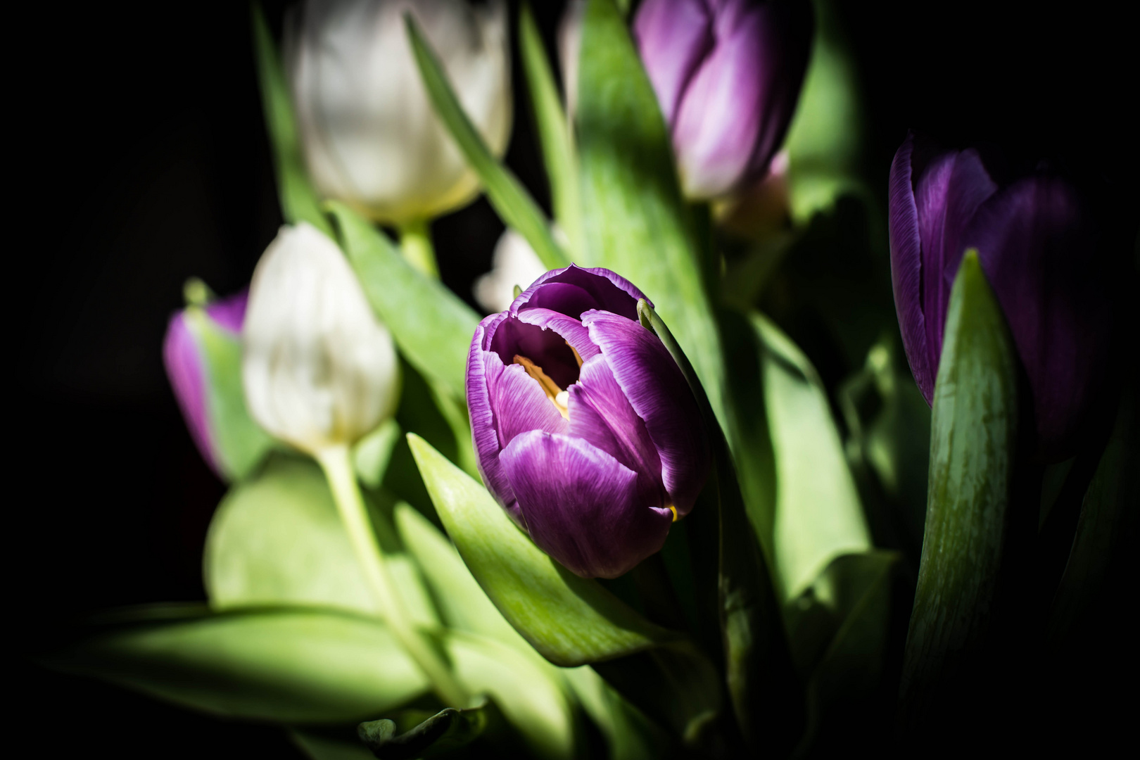 Der Frühling ist da...