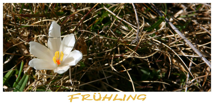 Der Frühling ist da....