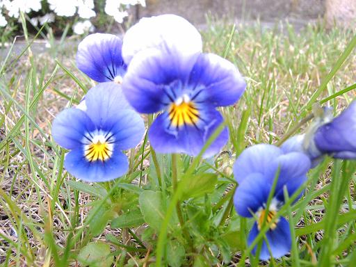 Der Frühling ist da!