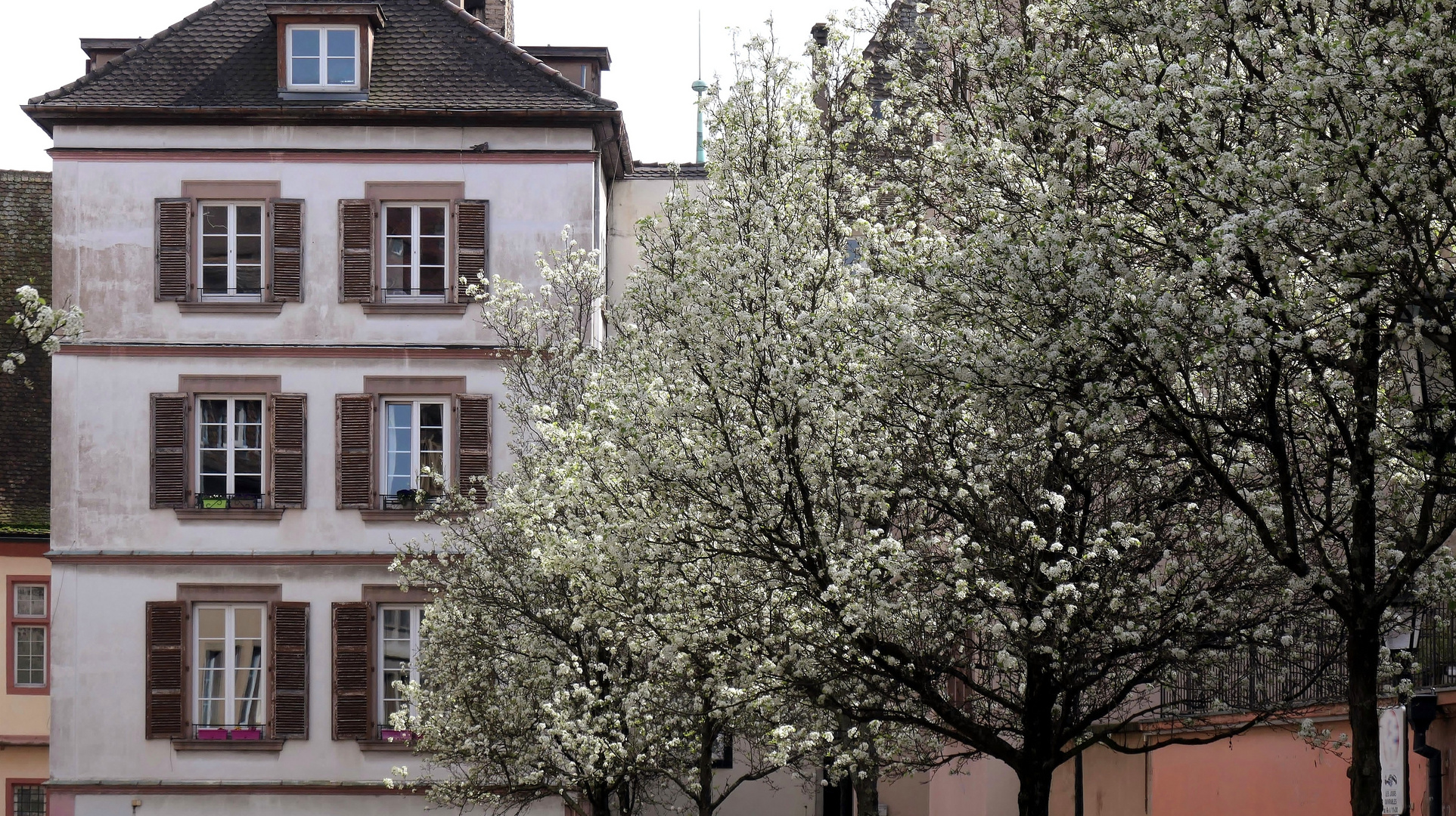 der Frühling ist da