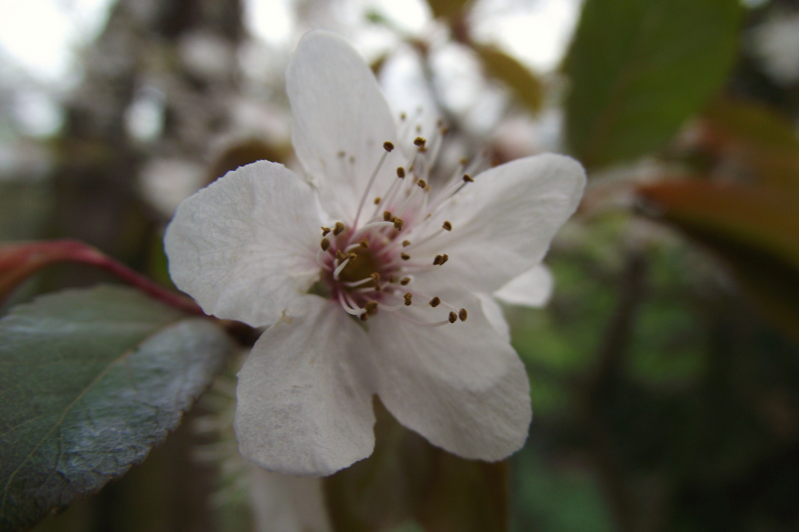 Der Frühling ist da