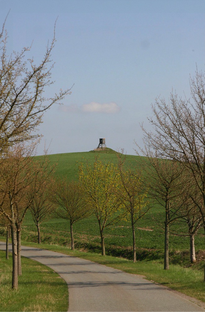 Der Frühling ist da, Hochsitz bei Grünenhof in Mecklenburg