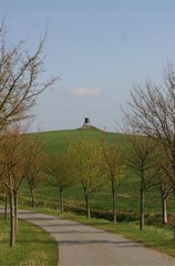 Der Frühling ist da, Hochsitz bei Grünenhof in Mecklenburg