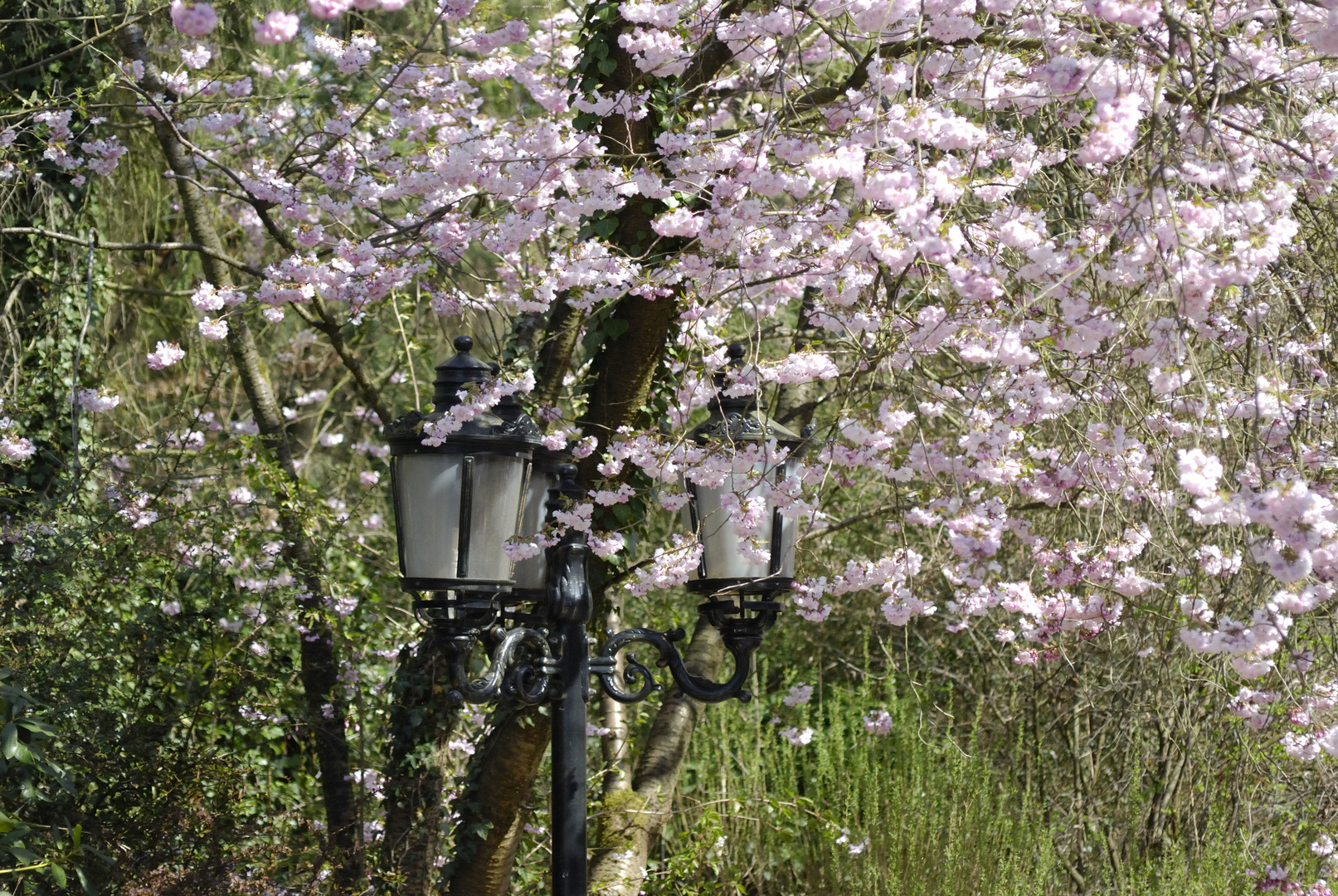 Der Frühling ist da und