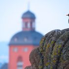 Der Frühling ist da - und ich sing es von den Dächern.