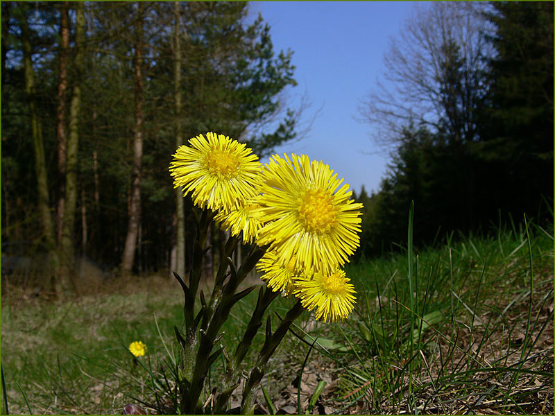 Der Frühling ist die schönste Zeit!