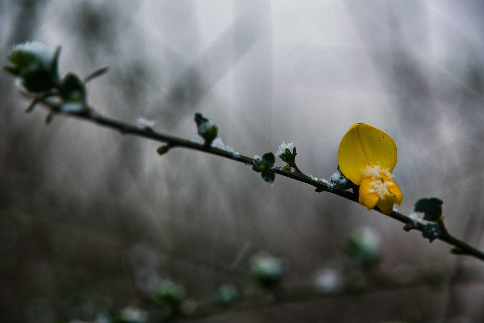 Der Frühling ist eine Übergangszeit