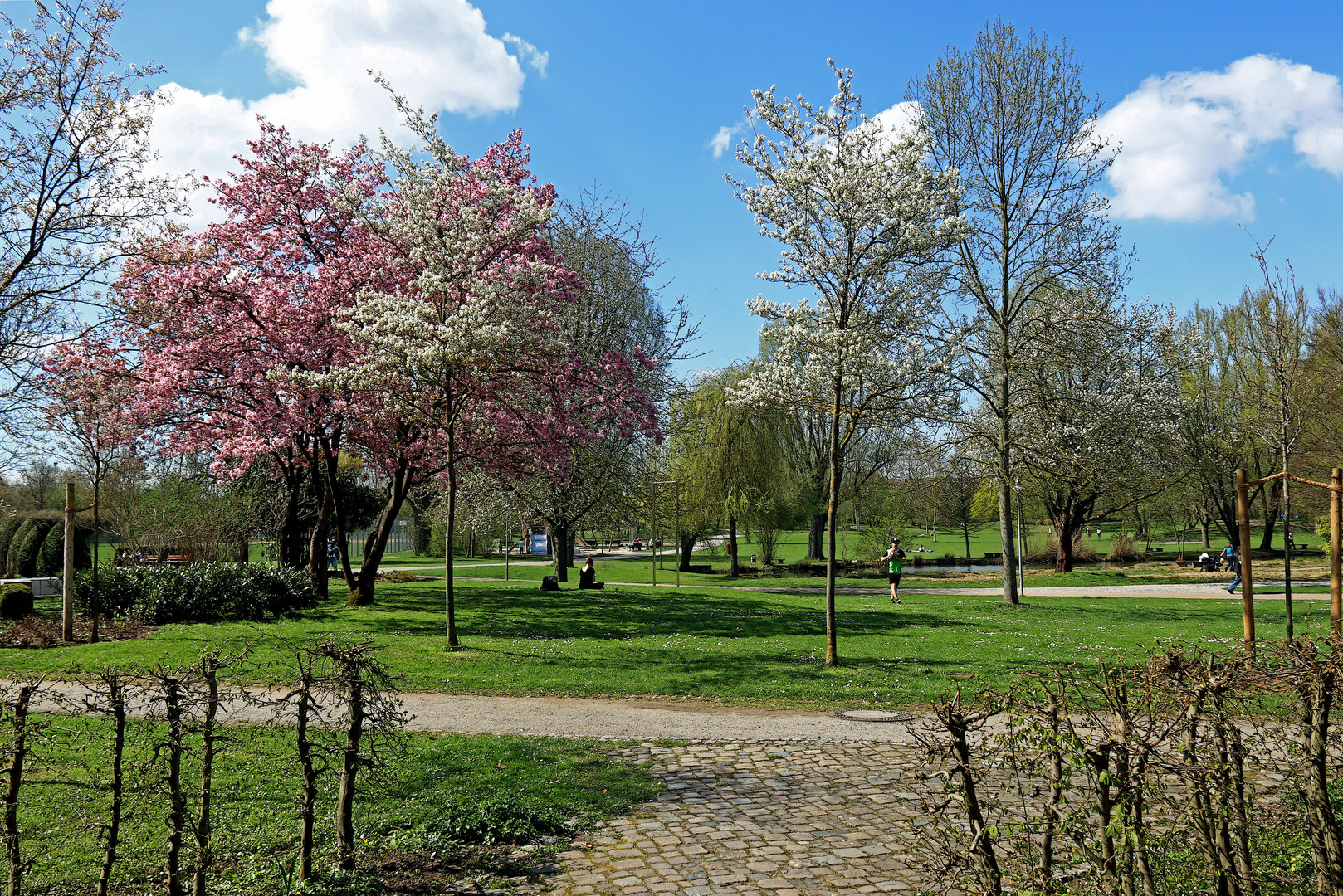 Der Frühling ist eingekehrt