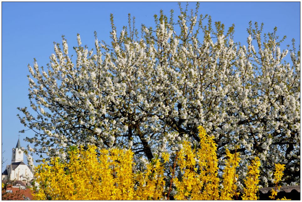 Der Frühling ist eingeläutet