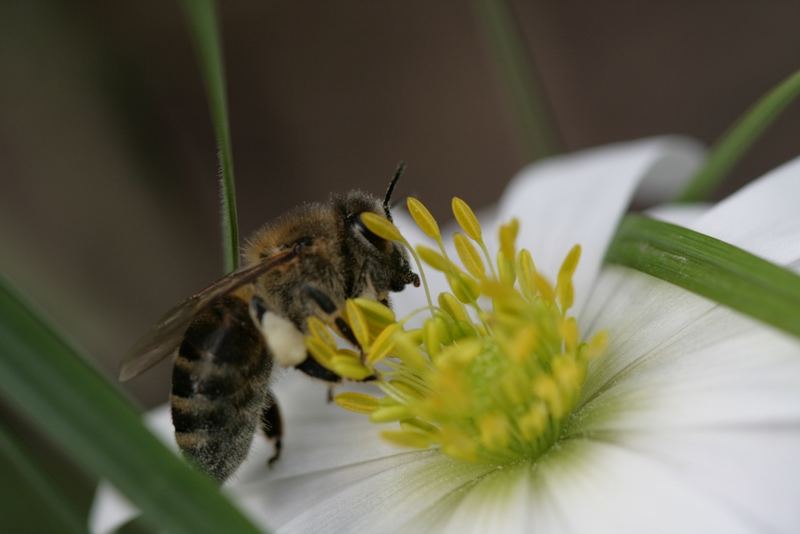 der Frühling ist endlich da