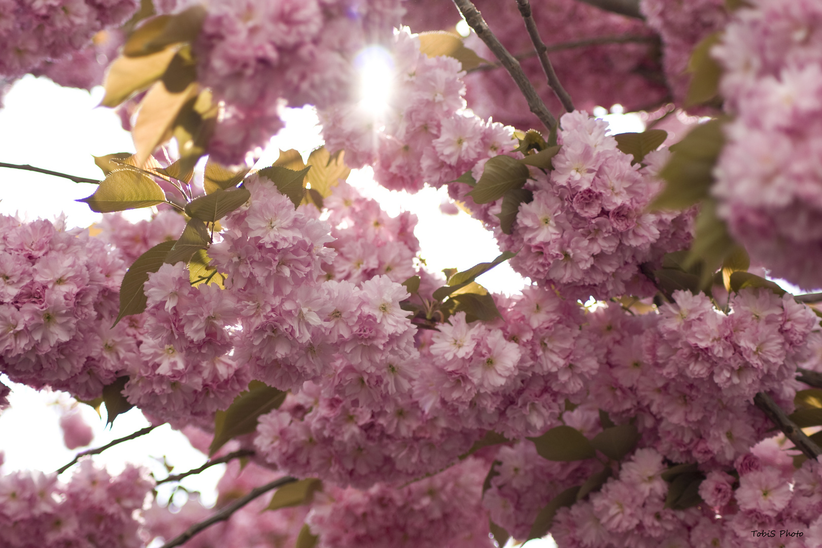 Der Frühling ist endlich da!