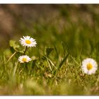 Der Frühling ist endlich da!