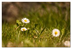 Der Frühling ist endlich da!