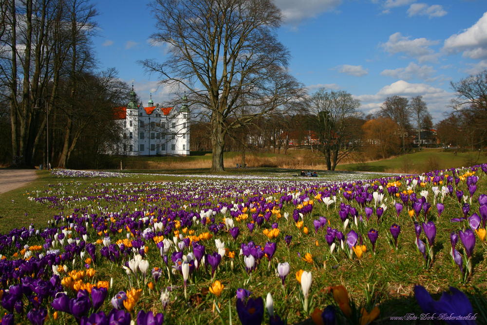 Der Frühling ist endlich da :)