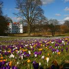 Der Frühling ist endlich da :)