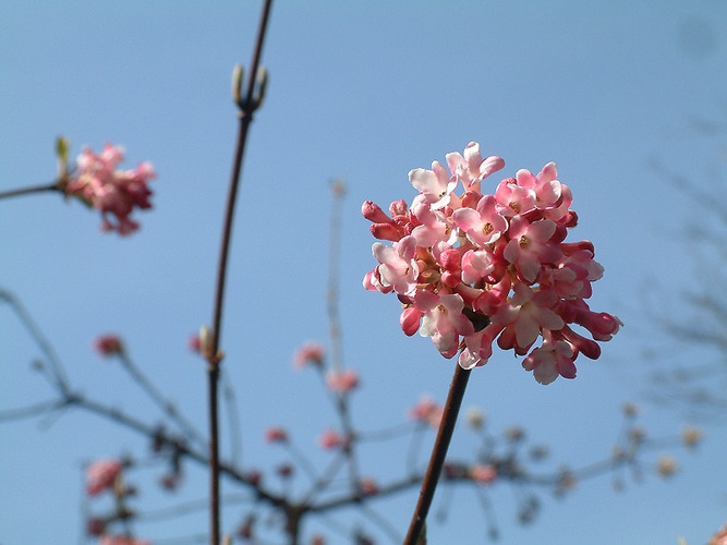 Der Frühling ist fast schon da!