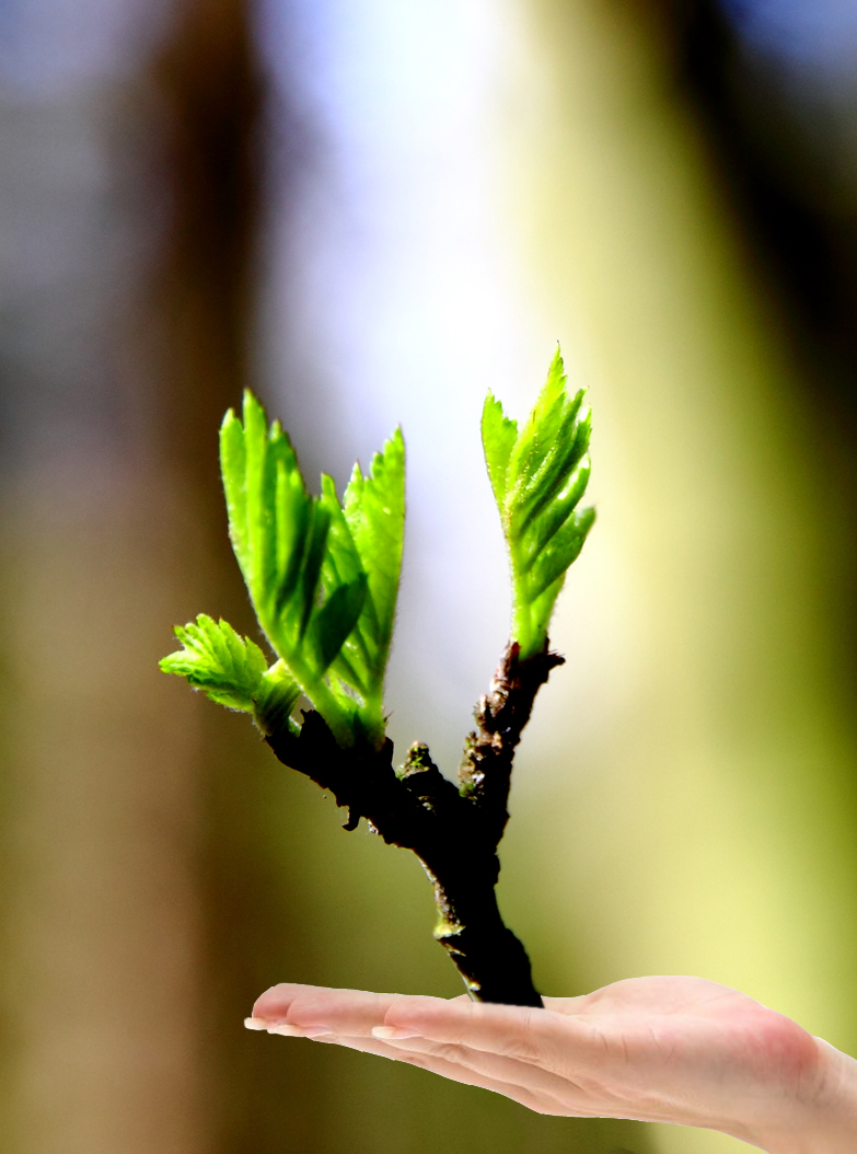 Der Frühling ist gekommen