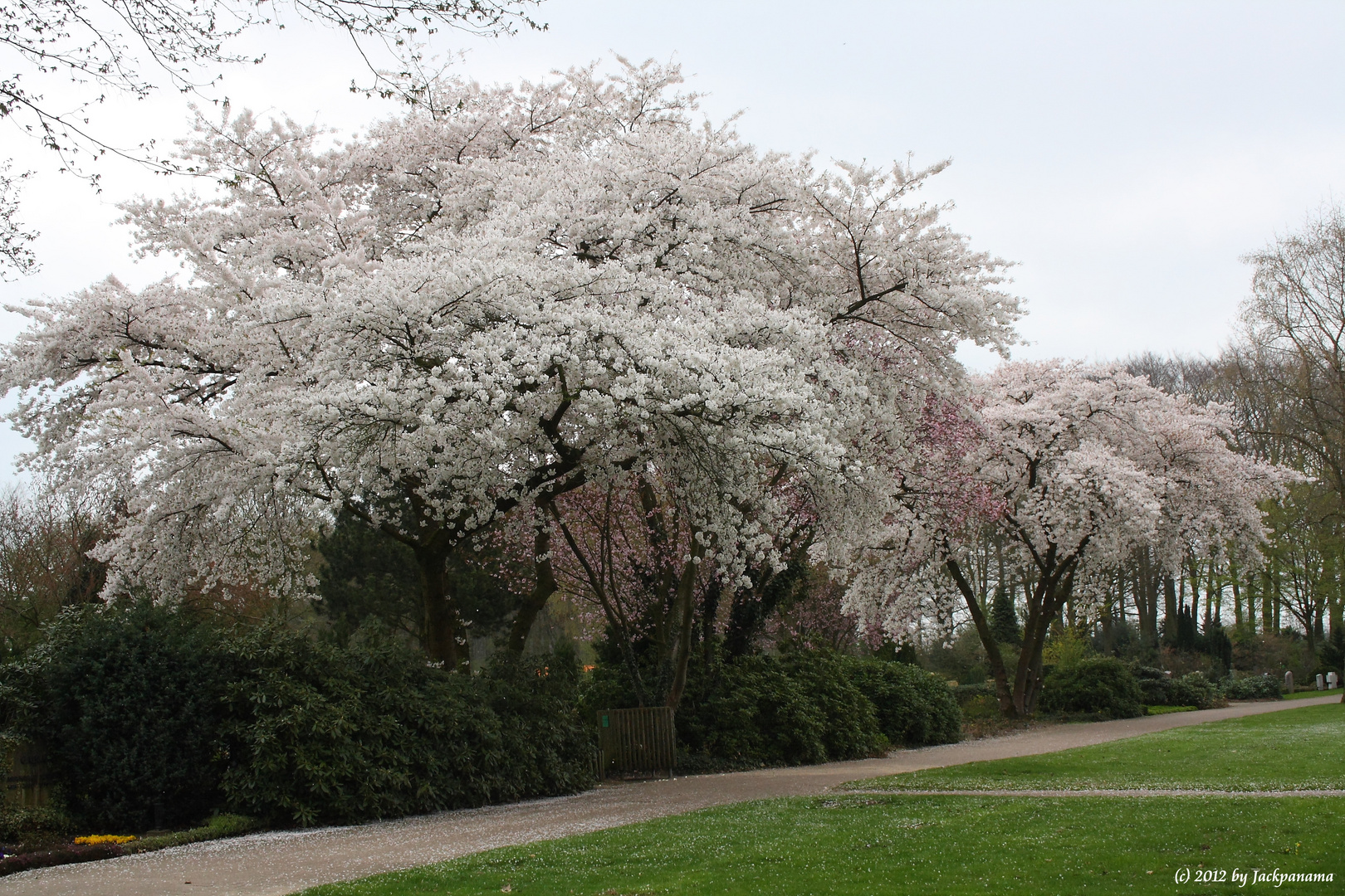 Der Frühling ist gekommen