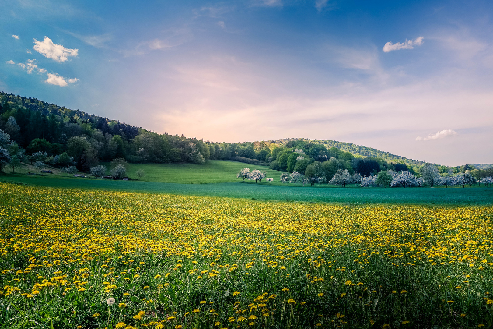 Der Frühling ist gekommen...