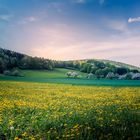 Der Frühling ist gekommen...