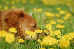 Der Frühling ist gekommen