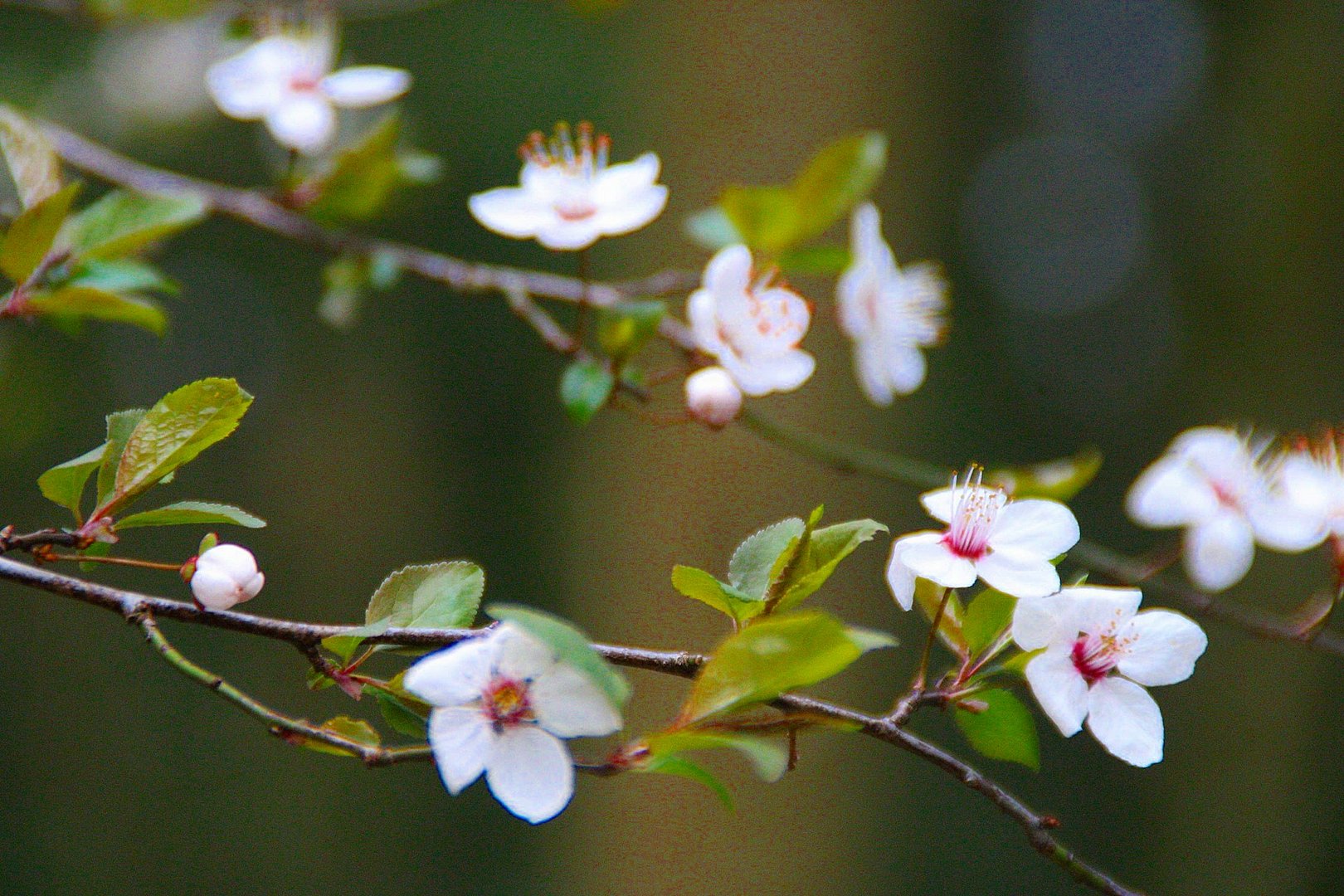 Der Frühling ist gekommen...