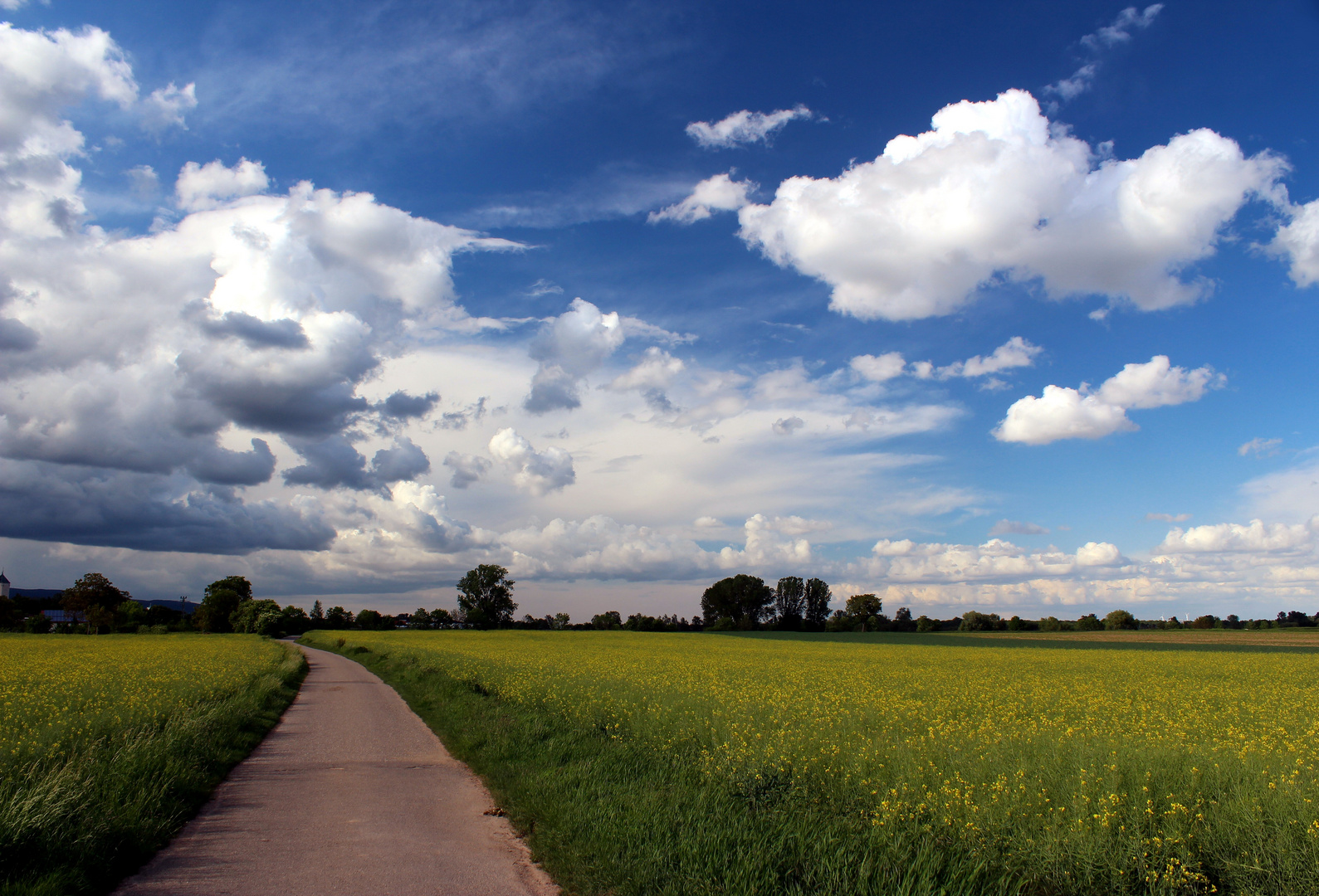 Der Frühling ist gelb