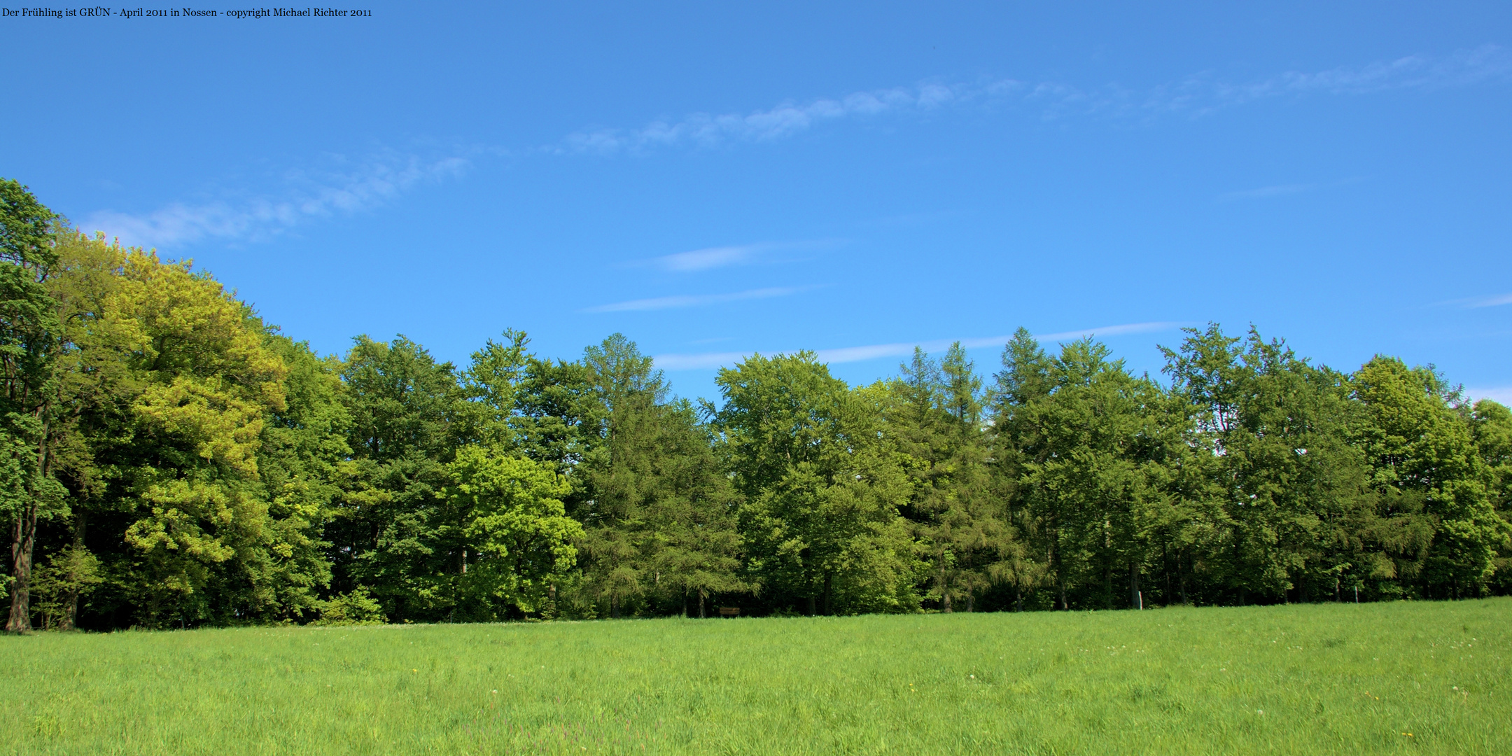 Der Frühling ist GRÜN!