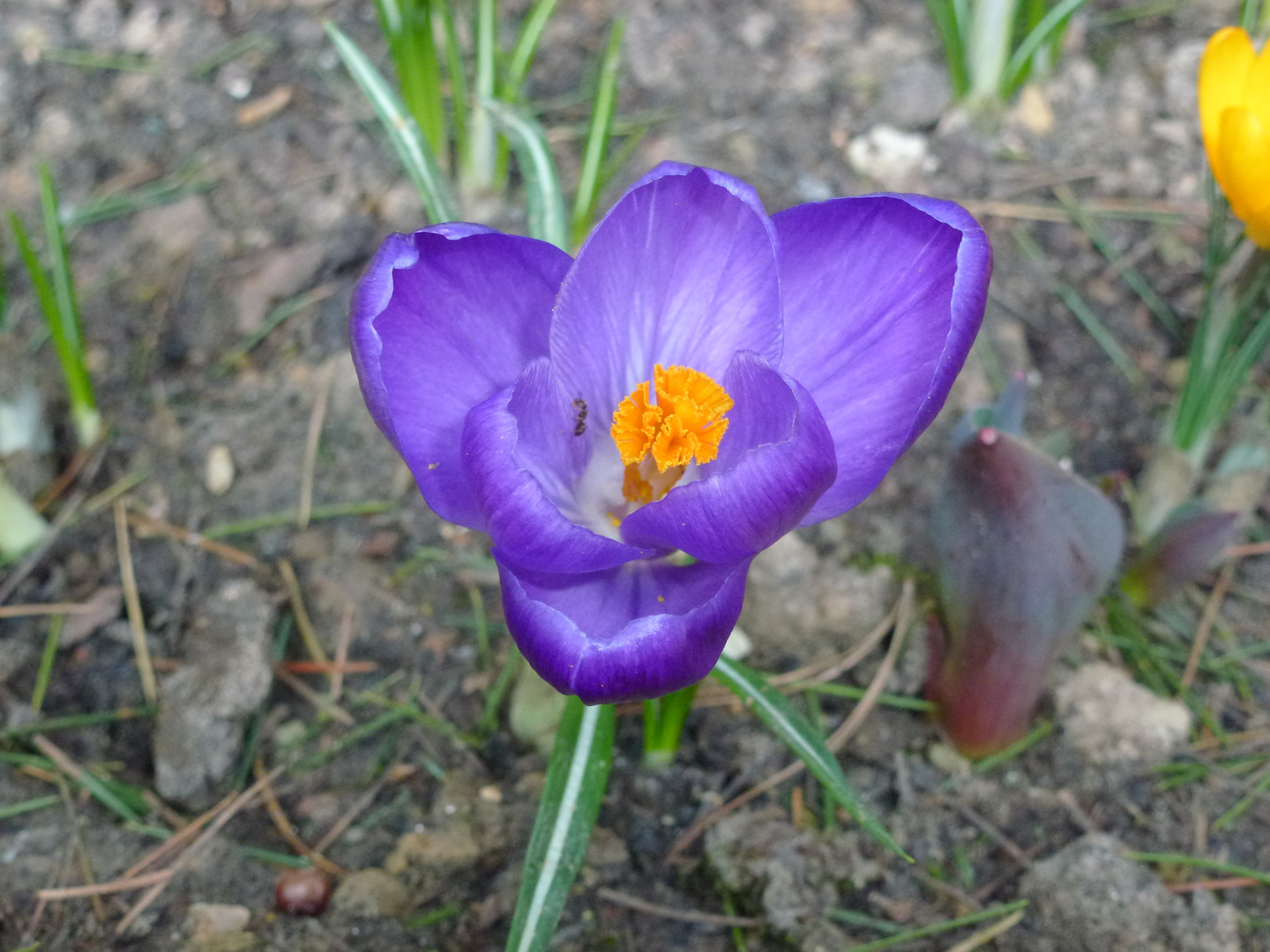 Der Frühling ist im Anzug.