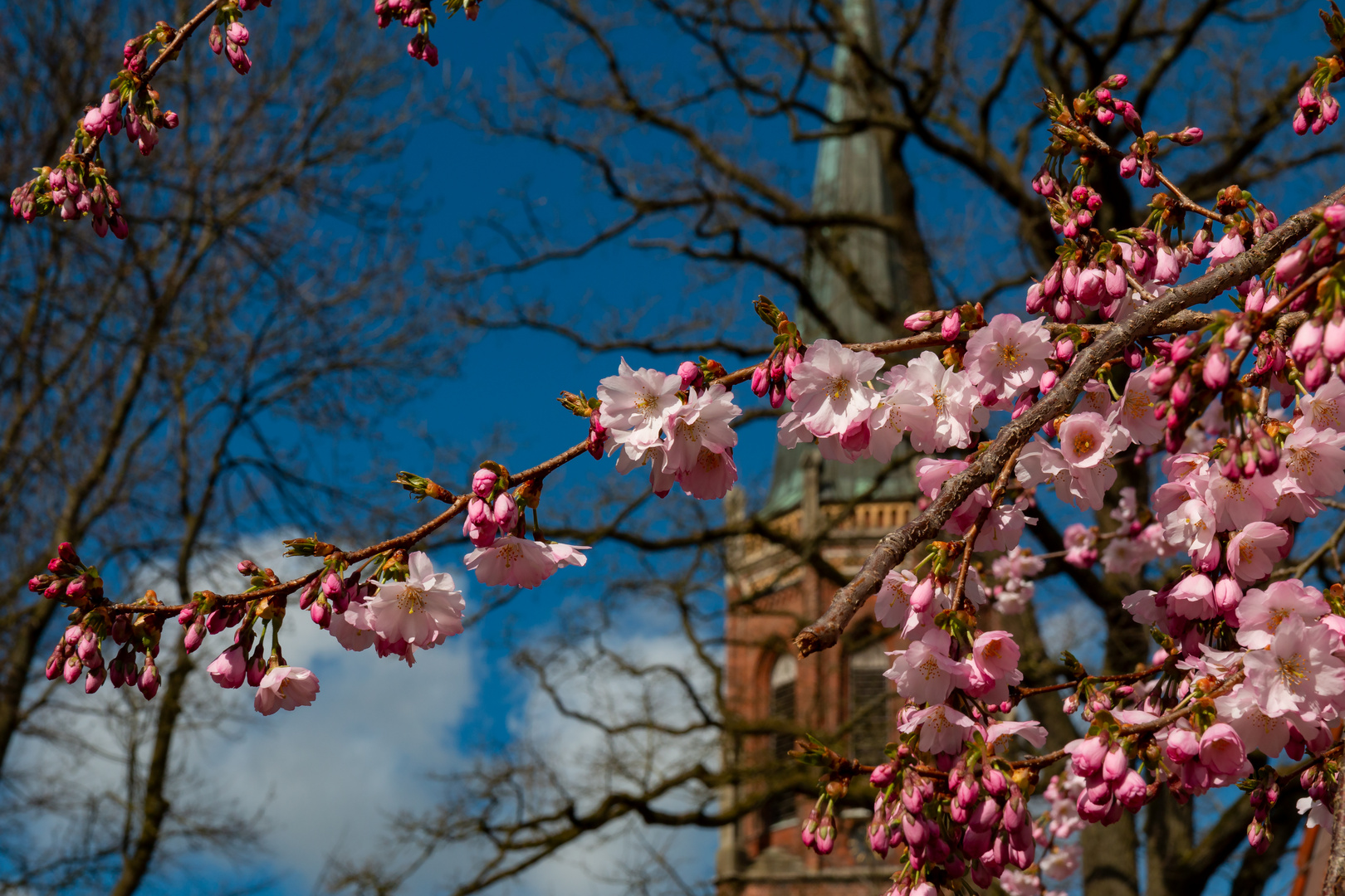 Der Frühling ist in Harsefeld