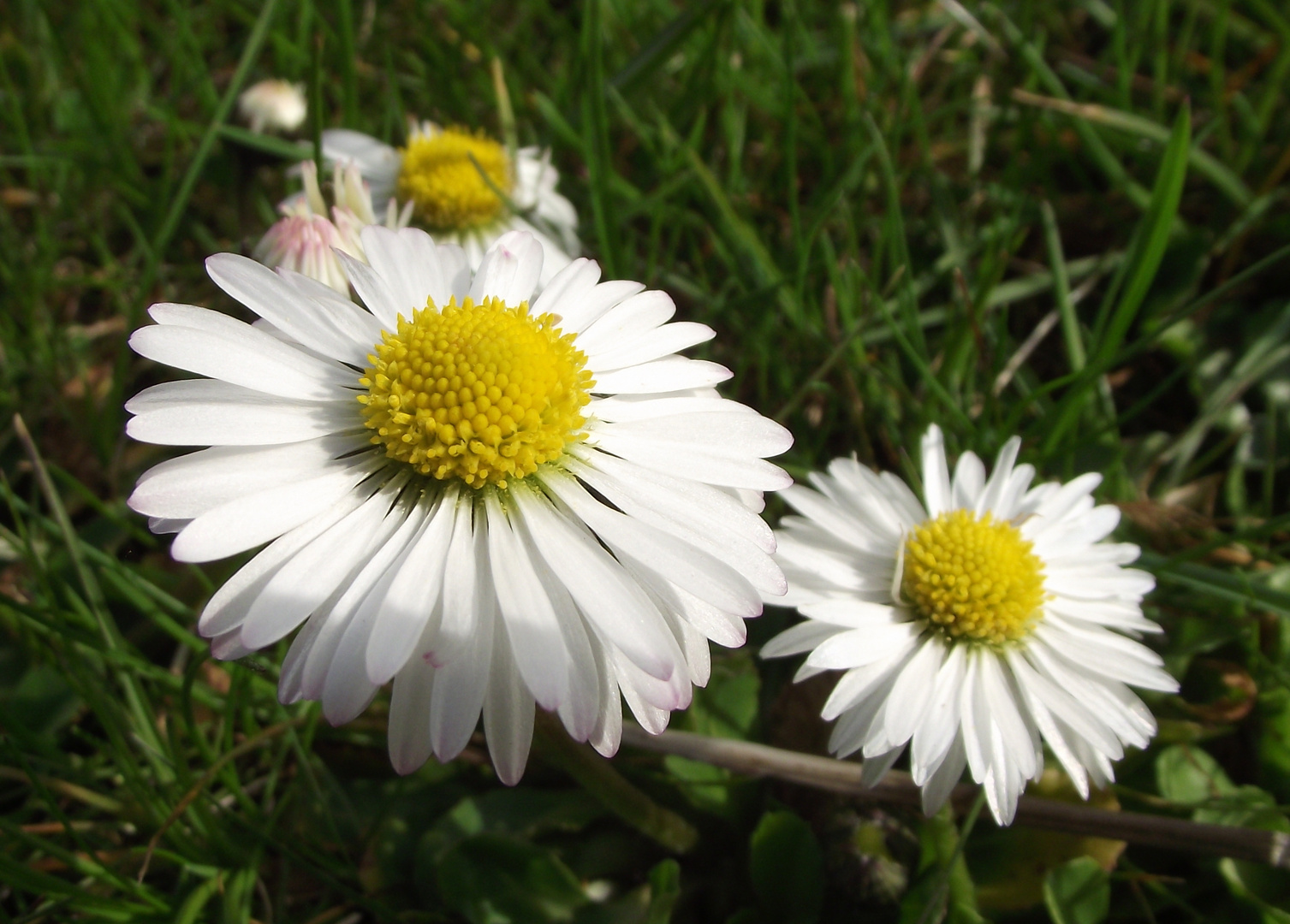 Der Frühling ist in Kleinlüder endlich angekommen