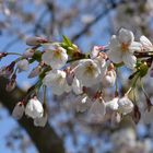 Der Frühling ist in Sicht