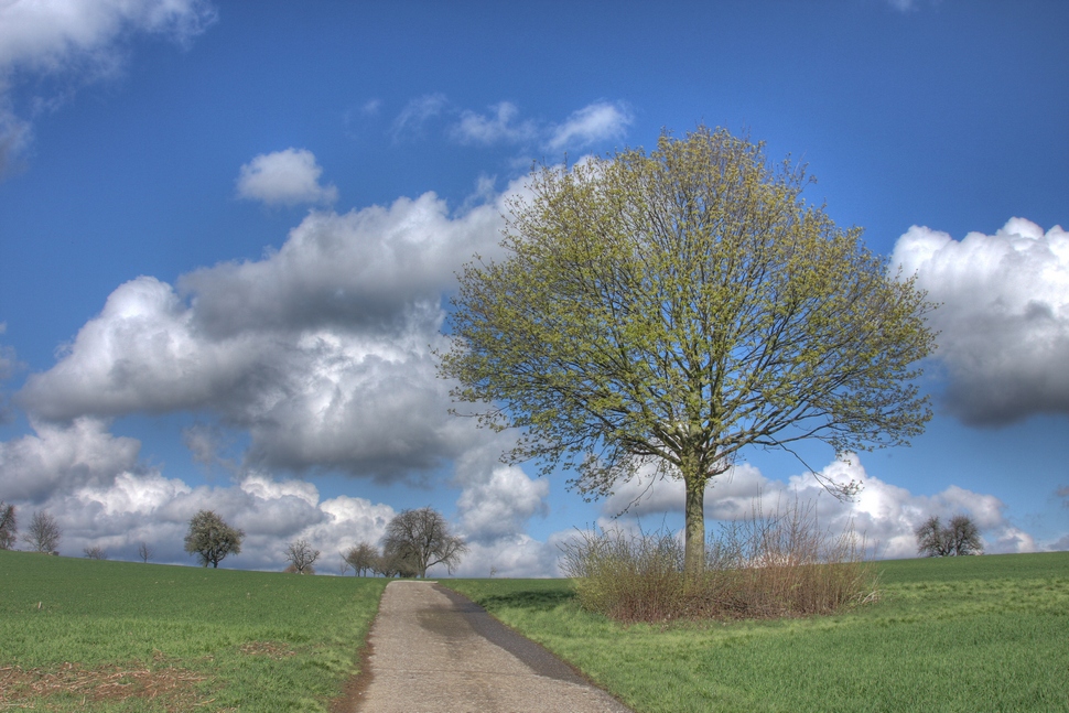 Der Frühling ist los!