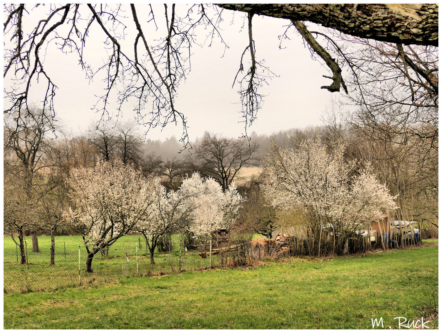 Der Frühling ist Nahe !