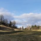 Der Frühling ist Nahe