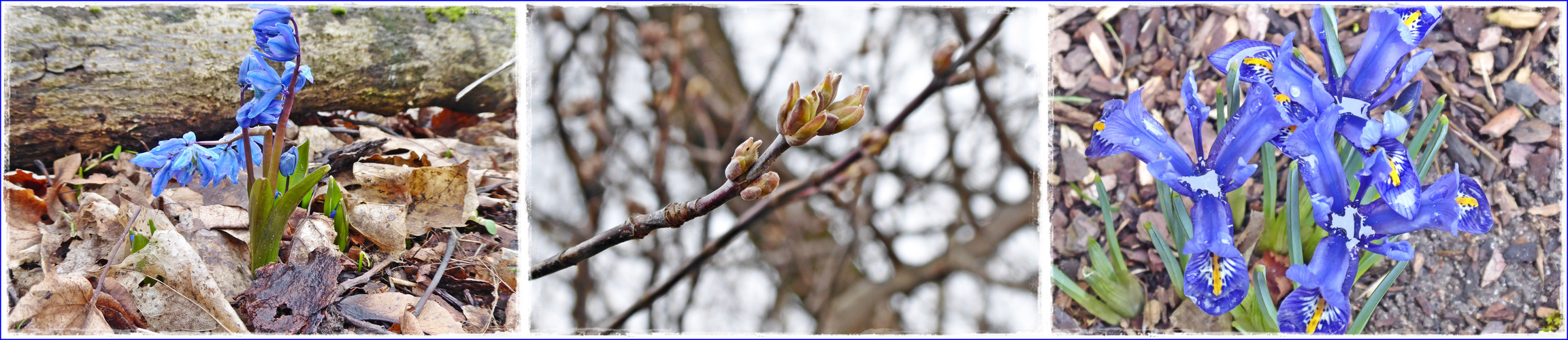 Der Frühling ist nicht aufzuhalten