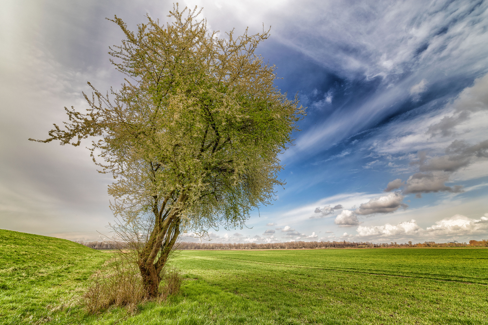 Der Frühling ist nicht mehr aufzuhalten!