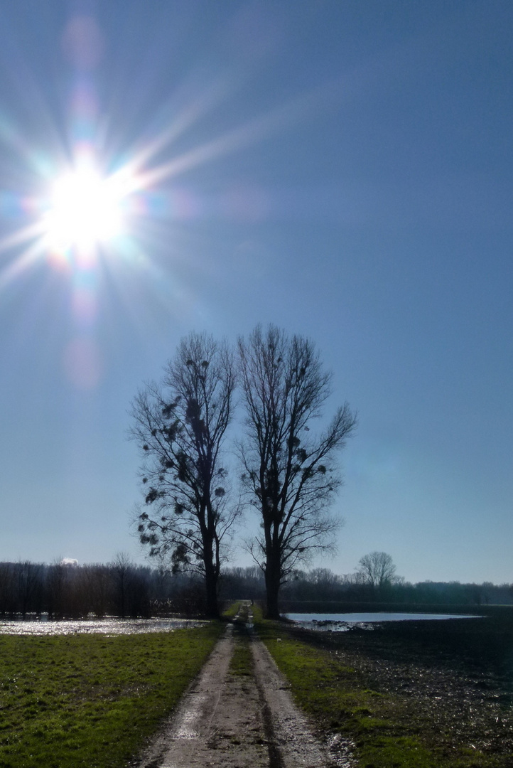 der Frühling ist nicht mehr weit