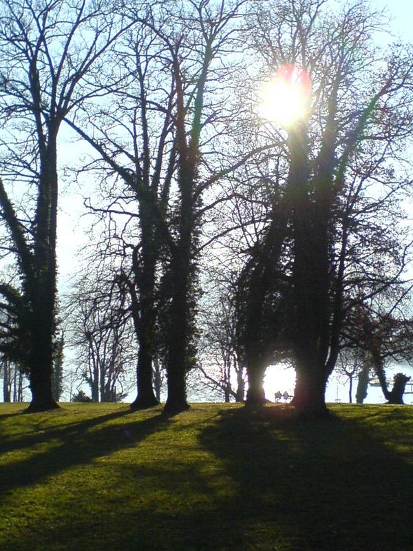 Der Frühling ist nicht mehr weit