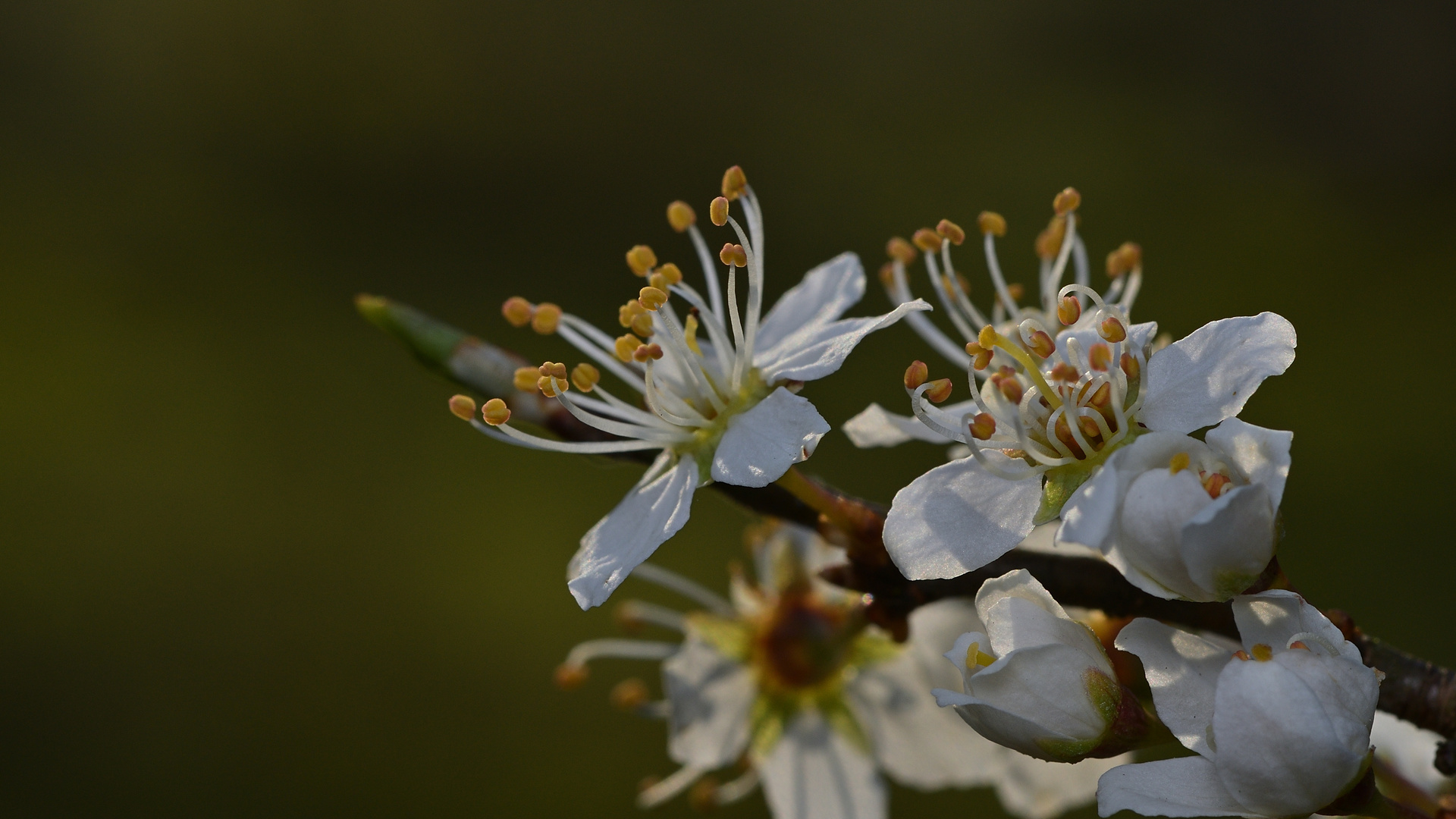 Der Frühling ist nicht mehr zu leugnen