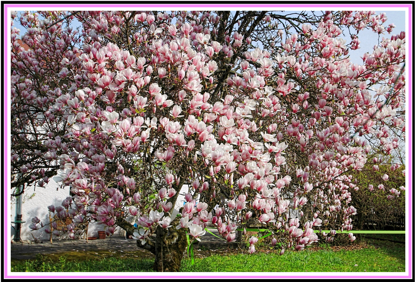 Der Frühling ist nun da!