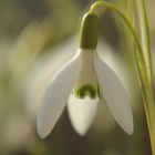 Der Frühling ist nun da!