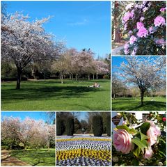 Der Frühling ist pünktlich