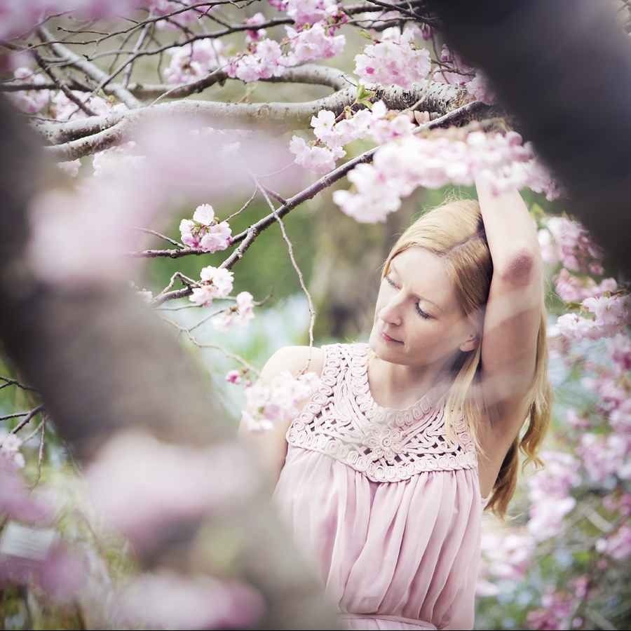 der Frühling ist rosa-quadrat