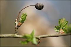 Der Frühling ist tatsächlich da!