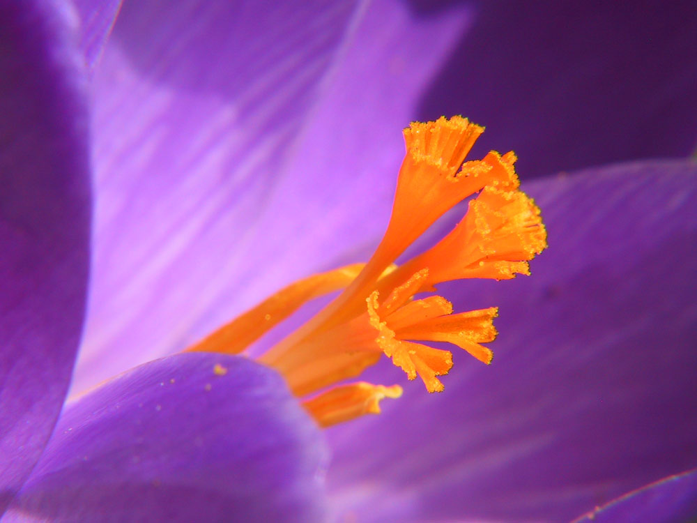 Der Frühling ist unterwegs