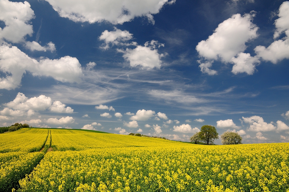 Der Frühling ist voll im Gange, jetzt kommt Farbe ins Spiel.